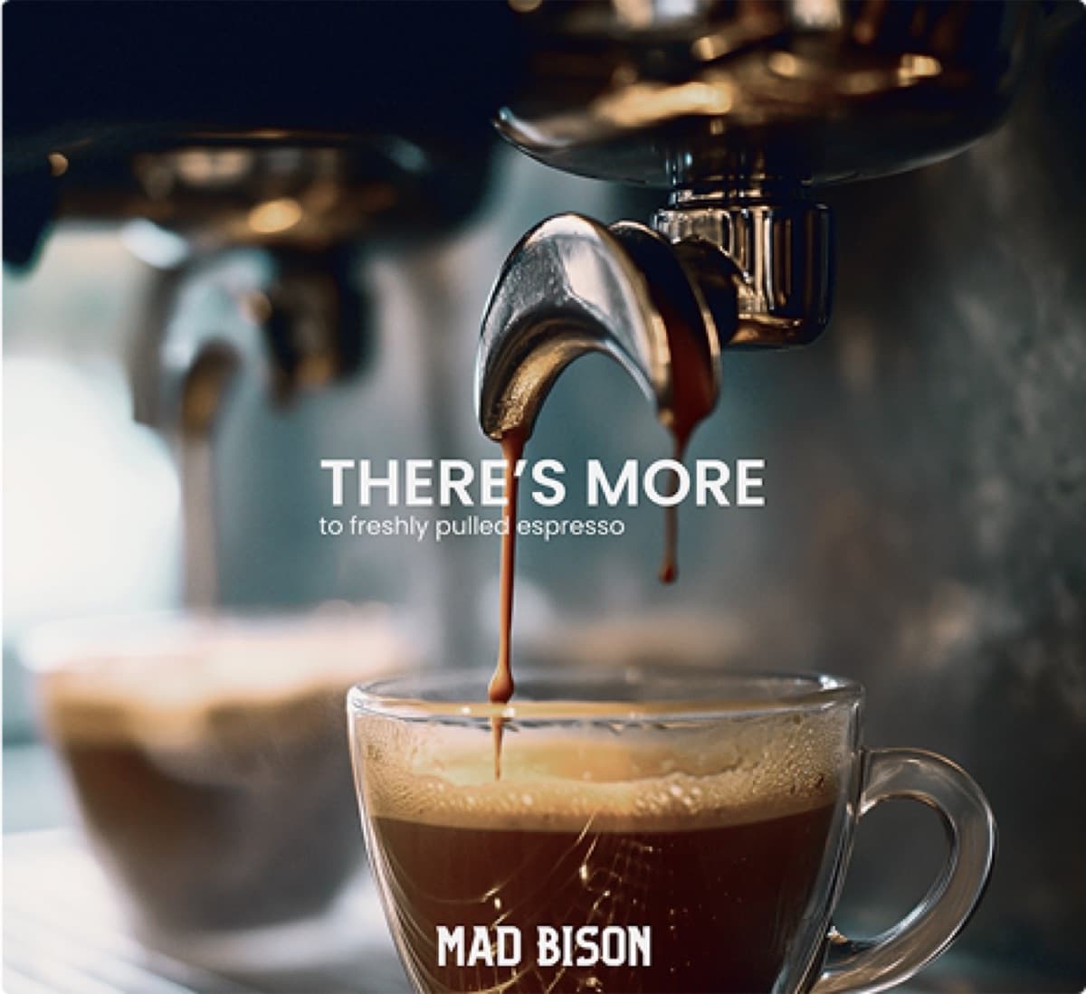 Mad Bison — Image 2